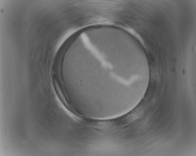 X0000075811383200610061721