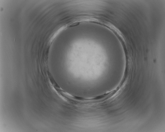 X0000075811385200610061721