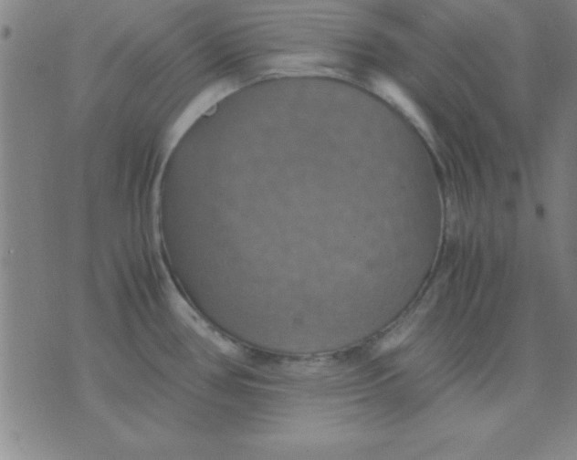 X0000075811386200610061721