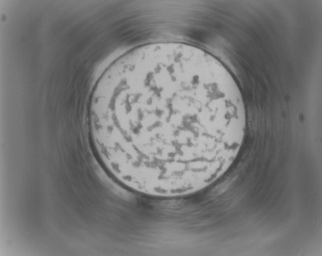 X0000075811387200610061721