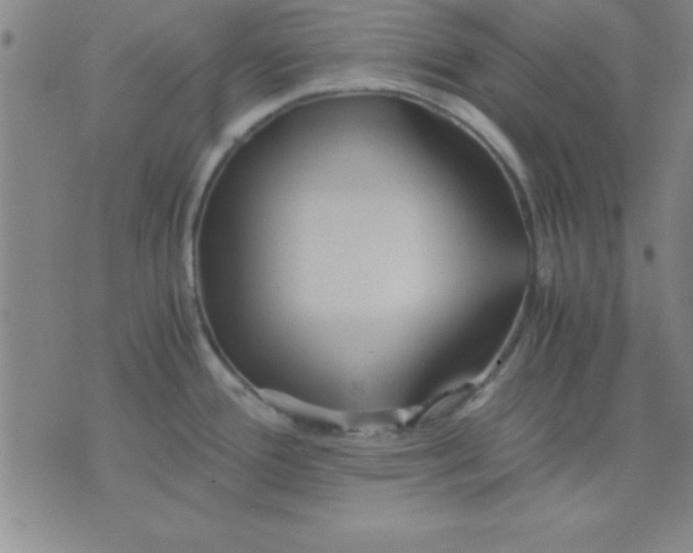 X0000075811388200610061721