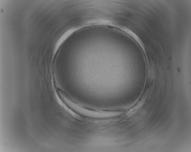 X0000075811389200610061721