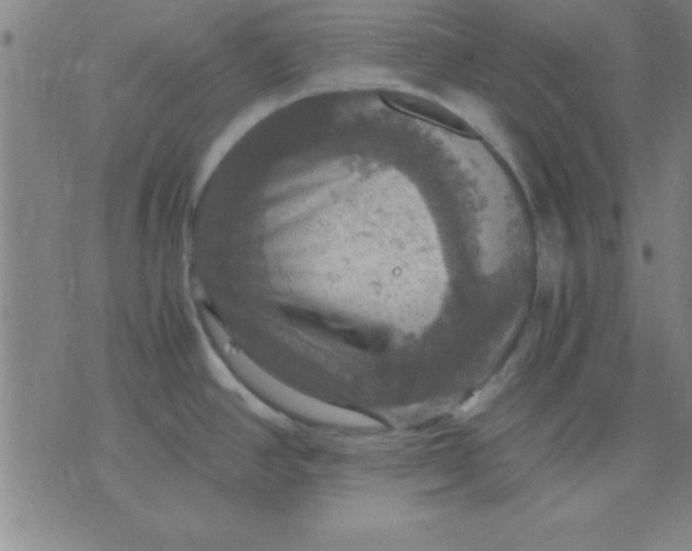 X0000075811390200610061721