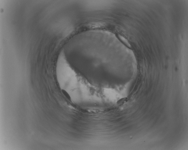 X0000075811393200610061720