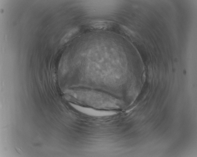 X0000075811394200610061720