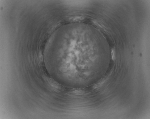 X0000075811395200610061720