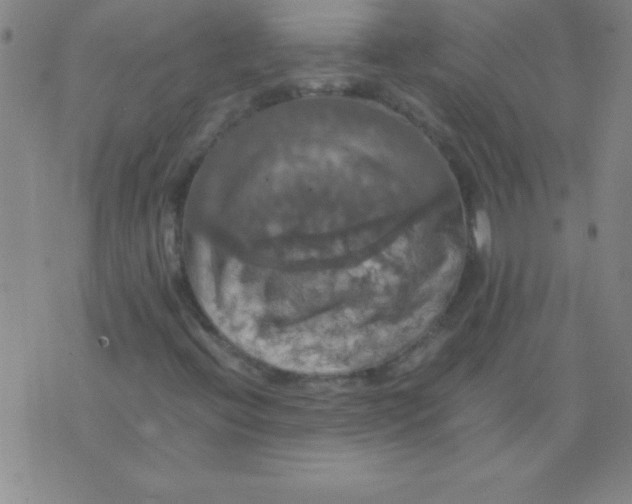 X0000075811396200610061720