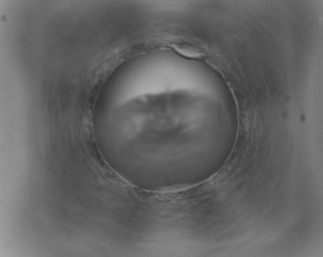 X0000075811397200610061720