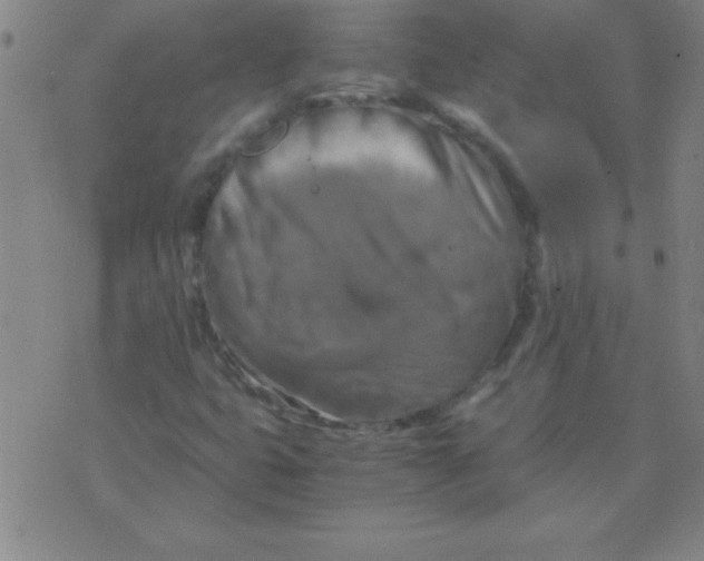 X0000075811399200610061720