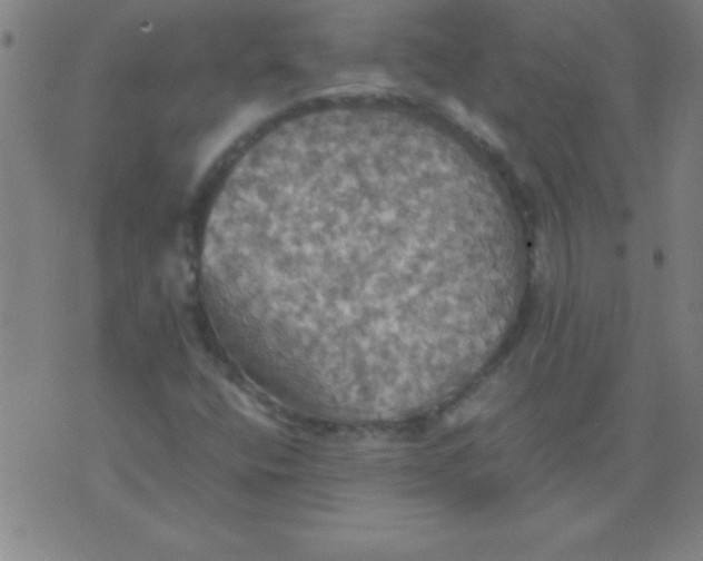 X0000075811400200610061720