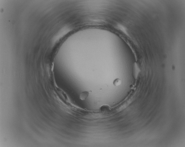 X0000075811402200610061720