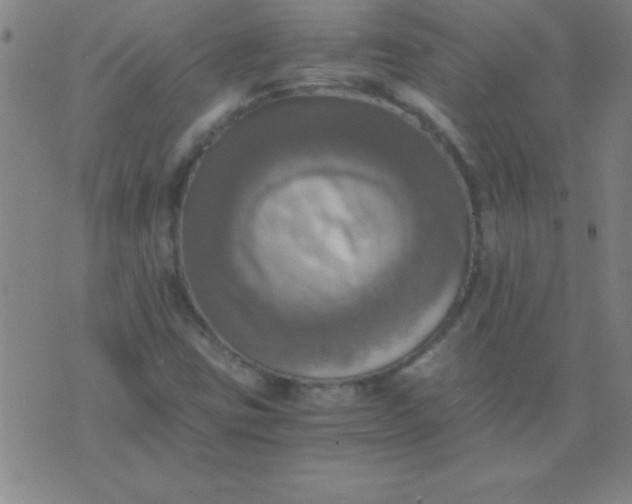 X0000075811403200610061720