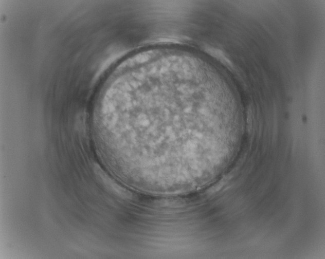 X0000075811404200610061720