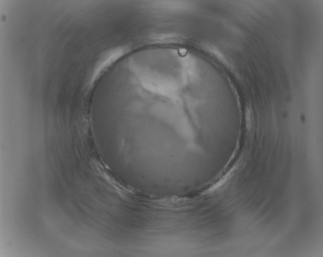 X0000075811405200610061720