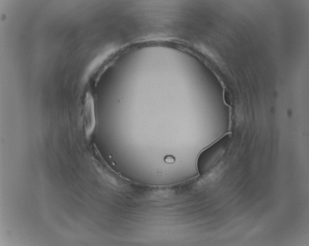 X0000075811406200610061720