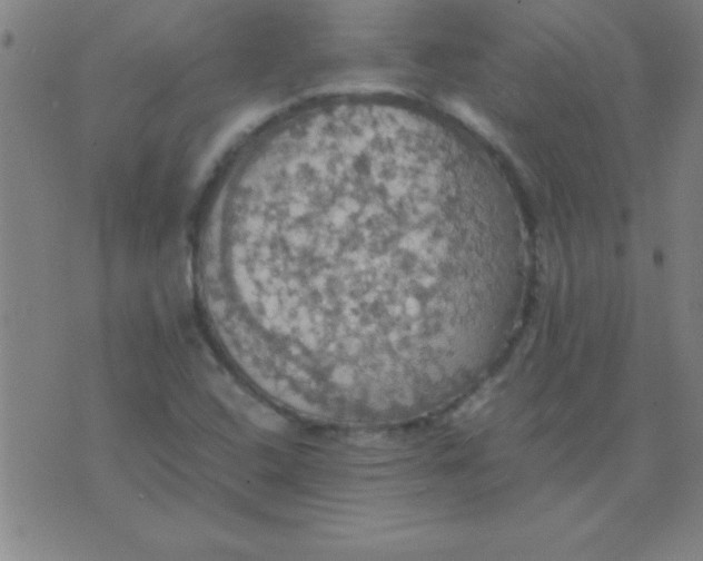 X0000075811408200610061720