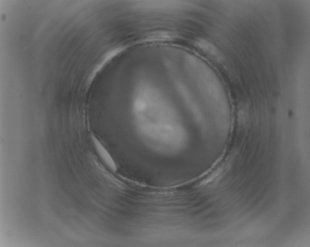 X0000075811409200610061720