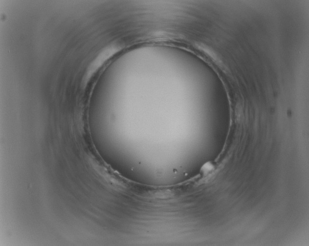 X0000075811410200610061720