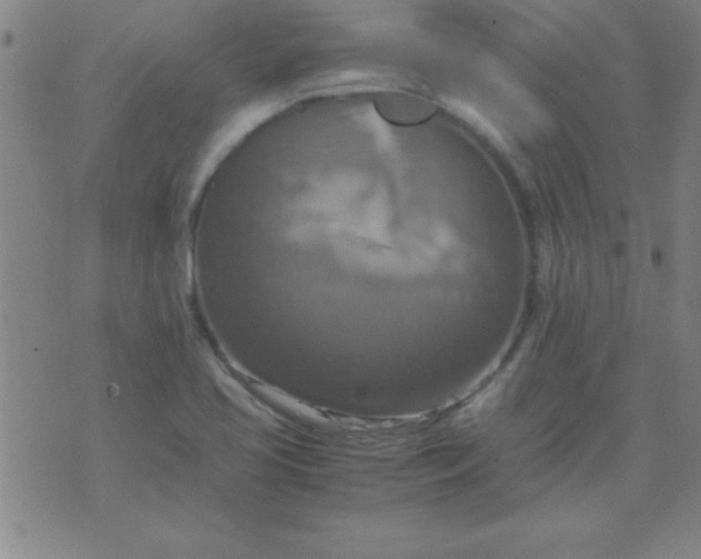 X0000075811413200610061720