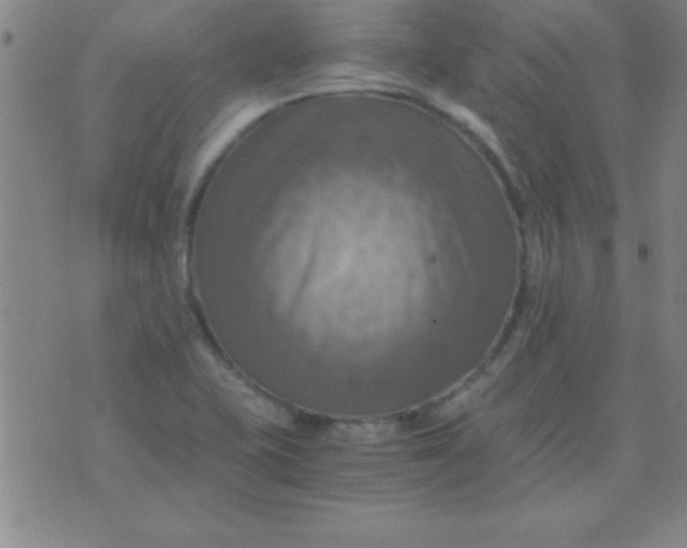 X0000075811415200610061720