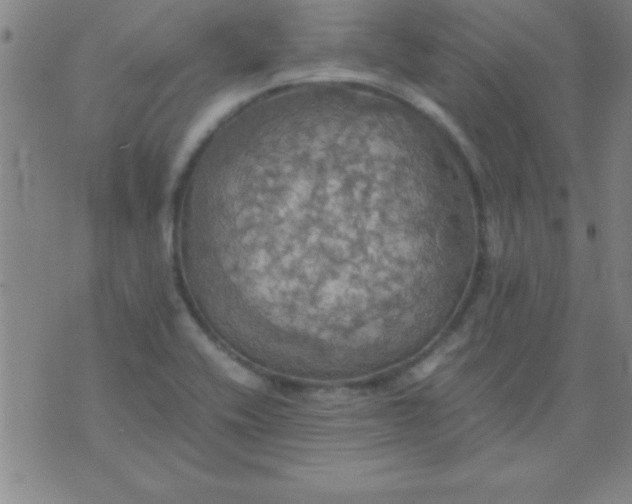 X0000075811416200610061720