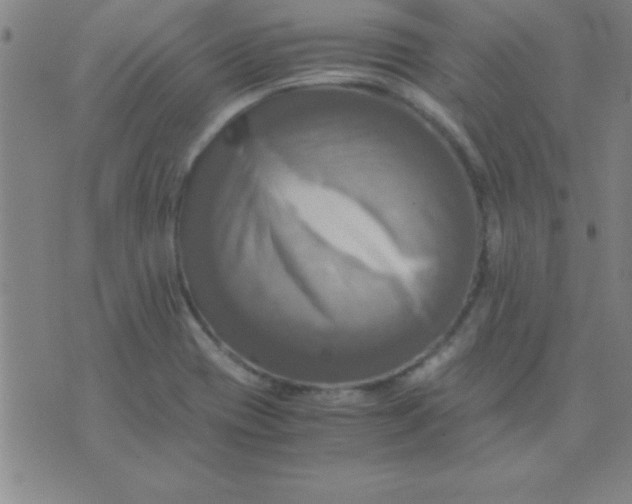 X0000075811417200610061720