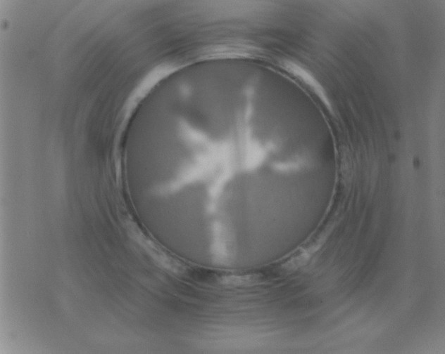 X0000075811419200610061720