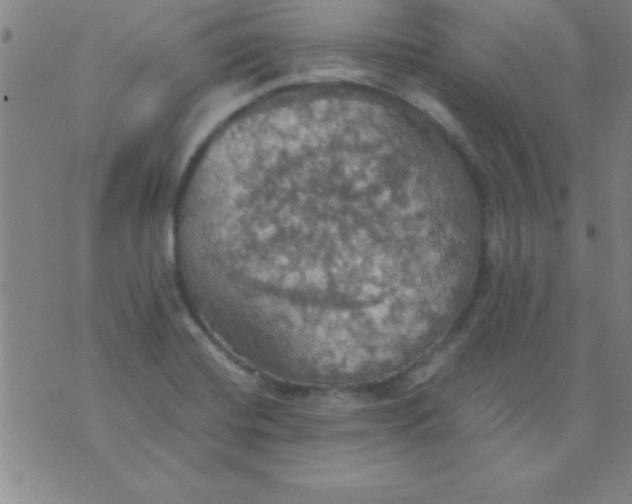 X0000075811420200610061720