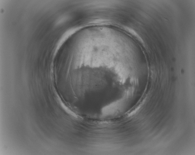 X0000075811421200610061720