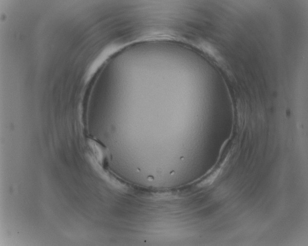 X0000075811422200610061720