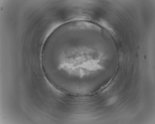 X0000075811423200610061720