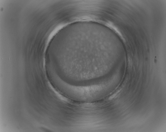 X0000075811424200610061720