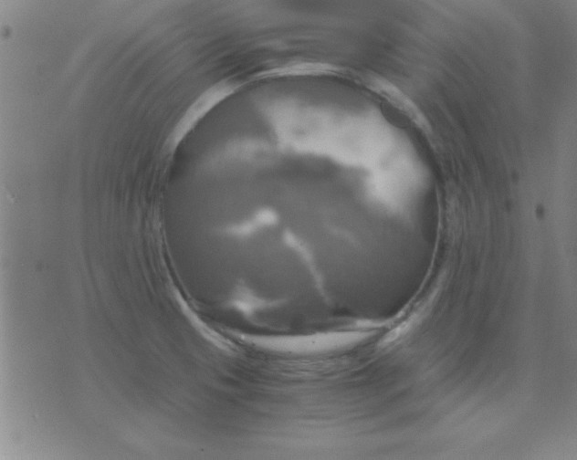 X0000075811425200610061720