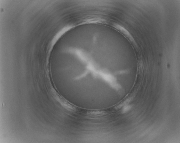 X0000075811427200610061720