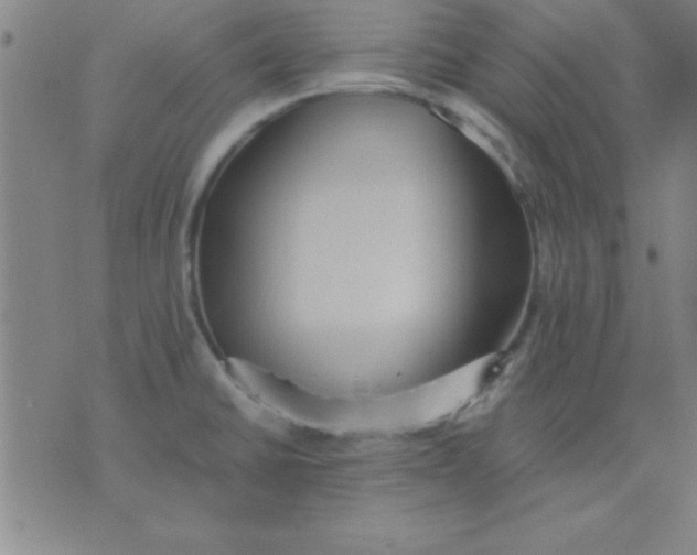 X0000075811430200610061720