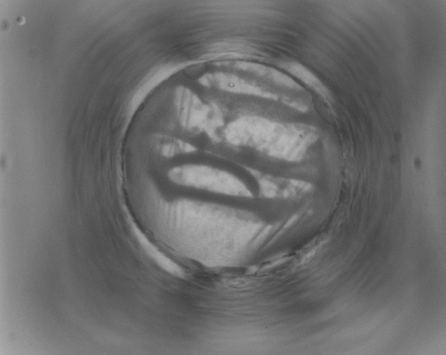 X0000075811431200610061720