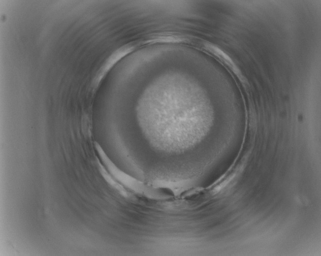 X0000075811433200610061720