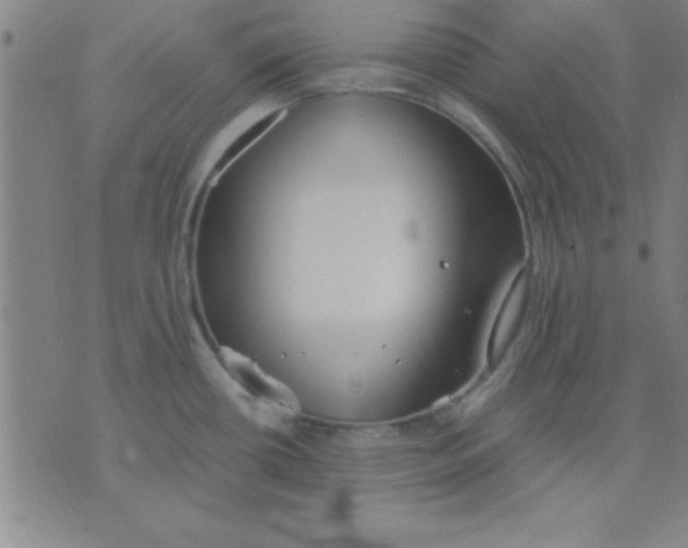 X0000075811434200610061720