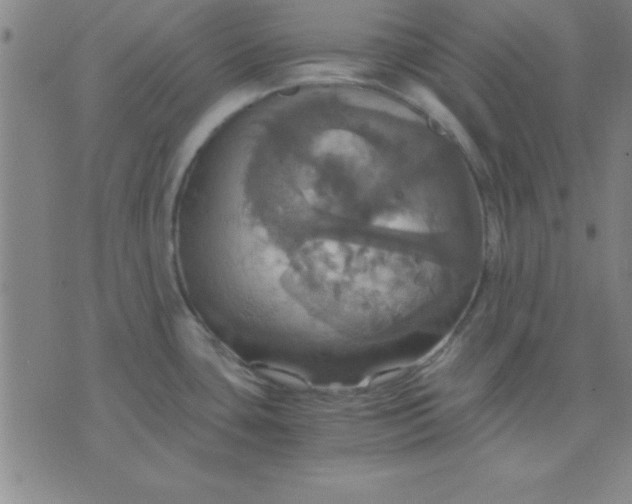 X0000075811435200610061720