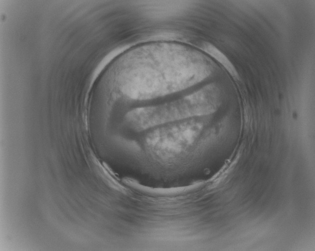 X0000075811436200610061720