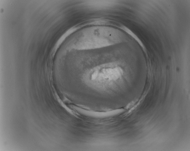 X0000075811437200610061721