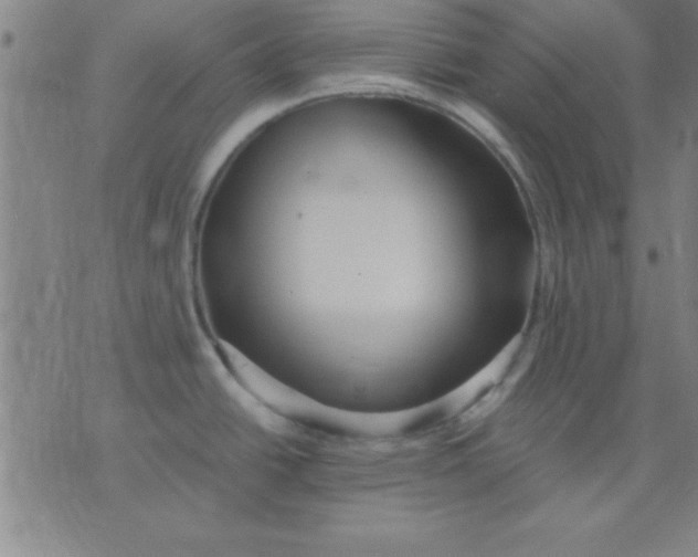 X0000075811438200610061721