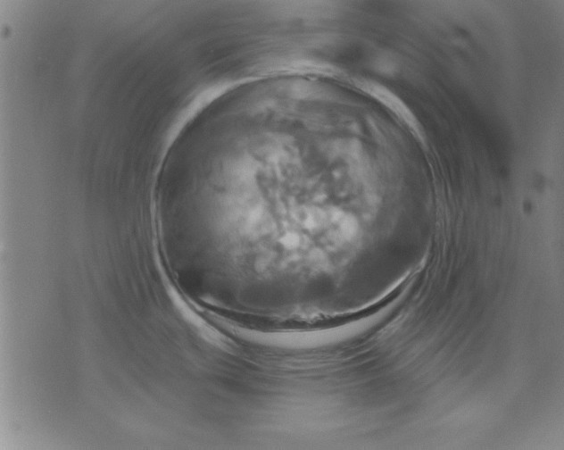 X0000075811439200610061721