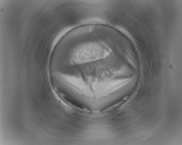 X0000075811440200610061721