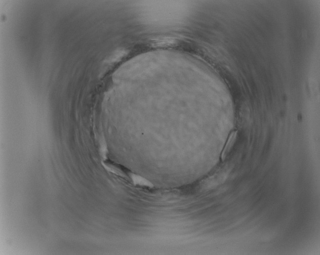 X0000075811441200610061720