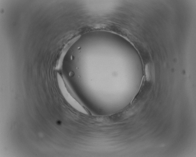 X0000075811443200610061720