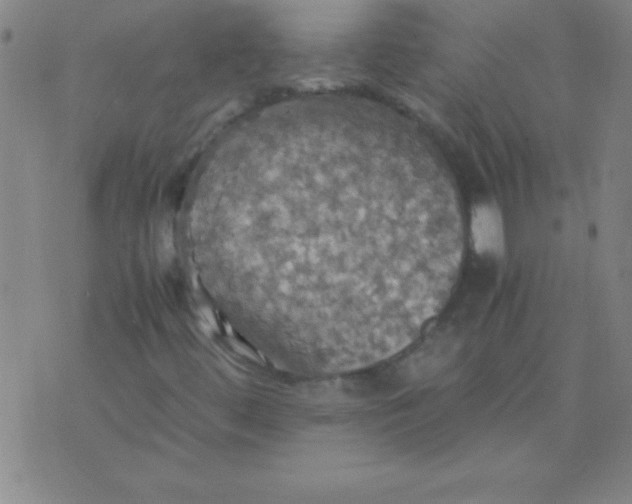 X0000075811444200610061720