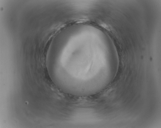 X0000075811445200610061720