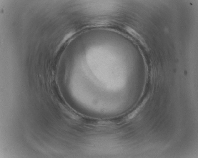 X0000075811449200610061720