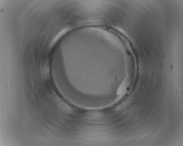 X0000075811450200610061720